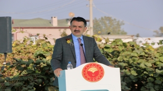 Tarım ve Orman Bakanı Bekir Pakdemirli’den destekleme ödemesi açıklaması: