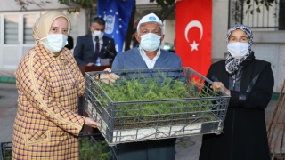 Orhanelili çiftçilere kuşkonmaz ve Trabzon hurması üretimi için destek
