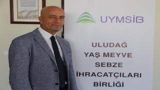 İncirde üretici memnun, ihracatçı ”sürdürülebilirlik” arayışında