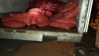Kocaeli’de 250 çuval kaçak midye ele geçirildi