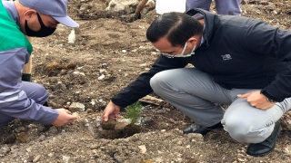 Bilecik’in ilçelerinde yüzlerce fidan toprakla buluşturuldu 