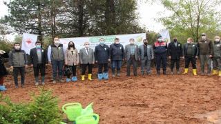 Söğütlü ve Ferizli’de ”Geleceğe Nefes” kampanyası kapsamında fidanlar toprakla buluşturuldu