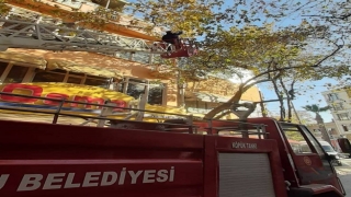 Ağaçta asılı kalan kumruyu itfaiye kurtardı