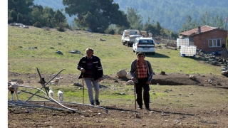 Söğüt’te hayvancılıkla uğraşan iki aile yaz kış yaylada yaşıyor