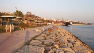 Darıca’da park ve sahillerde sessizlik hakim