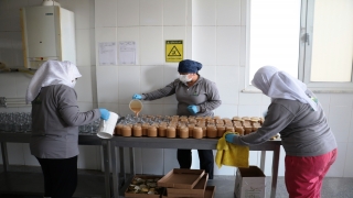 Kapı kapı gezip salça satan kadın girişimci iki işletme sahibi oldu