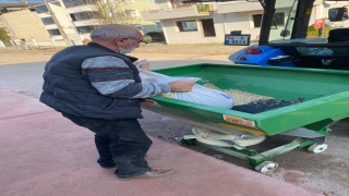 Söğütlü Belediyesince siyah buğday ekimi yapıldı