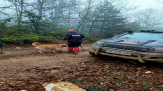 Bursa’da kaybolan alzaymır hastası yaşlı adam için arama çalışması başlatıldı