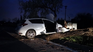 Kocaeli’de ağaca çarpan otomobil sürücüsü yaralandı