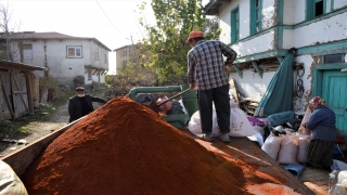 Osmaneli kırmızı biberinde öğütme mesaisi başladı