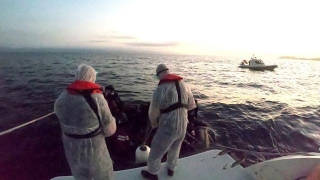 Balıkesir’de Türk kara sularına itilen 37 sığınmacı kurtarıldı