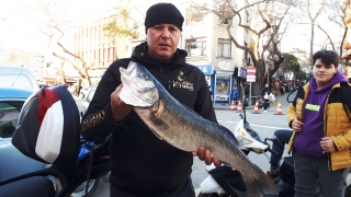 Gelibolulu amatör balıkçı oltayla 6 kilogramlık levrek avladı
