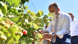 Tarım AŞ’nin bu yıl ihracat hedefi 1 milyon dolar