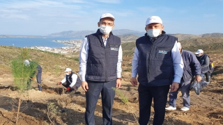 Limak Enerji’nin ”Yeşil Dönüşüm Ormanları Projesi” Balıkesir’de devam ediyor