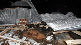 Bursa’da kardan damları çöken iki ahırdaki 9 büyükbaş hayvan telef oldu