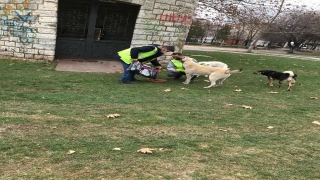 Kırklareli’nden kısa kısa