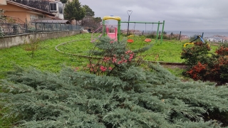 Gölcük’te ”yalancı bahara” aldanan ağaçlar çiçek açtı