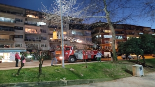 Kocaeli’de ağaçta mahsur kalan kedi kurtarıldı