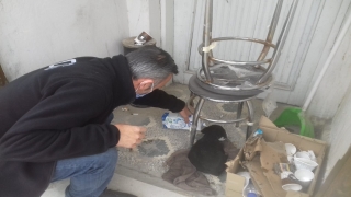 Sakarya’da polis, üşüyen köpek yavrusunu ekip otosunda ısıttı