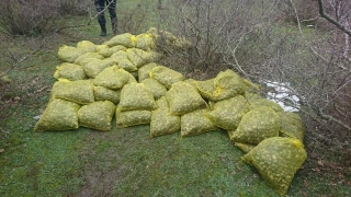 Edirne’de kaçak toplanan 750 kilogram kum midyesi ele geçirildi