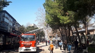 Kocaeli’de ağaçta mahsur kalan kediyi itfaiye ekipleri kurtardı