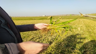 Kırklareli’nden kısa kısa