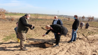 Edirne’de köylülere ek gelir sağlayacak tıbbi ve aromatik bitki ormanı kuruldu