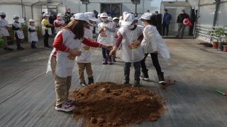”Küçük çiftçiler” tarım ürünü yetiştirmeyi AB destekli projeyle uygulamalı öğreniyor