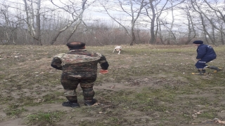 Sındırgı’da çayda mahsur kalan köpek itfaiye ekiplerince kurtarıldı