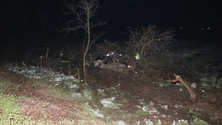 Sakarya’da ağaca çarpan pikabın sürücüsü öldü