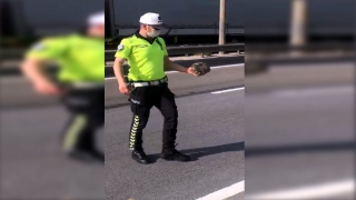 Kara yolunda karşıdan karşıya geçmeye çalışan kaplumbağaya polis yardım etti