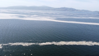 Marmara Denizi’nin birçok noktasına yayılan ”deniz salyası” Bandırma Körfezi’ni de kapladı