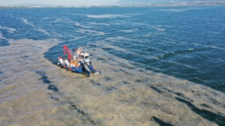 İzmit Körfezi’nden 100 ton deniz salyası temizlendi