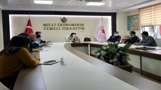 ”Gelibolu’nun Kadınları Kozalarından Çıkıyor” projesinin başvurusu yapıldı