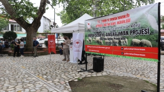 Yalova’da ıslah edilen mera otlatmaya açıldı