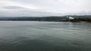 Yalova sahillerini kaplayan deniz salyası rüzgarın etkisiyle dağıldı