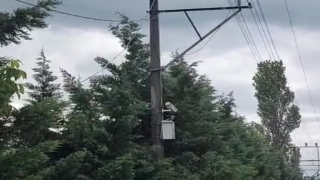 Kocaeli’de elektrik tellerine çarpan iki karga MOBESE kablolarının yanmasına neden oldu