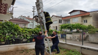 Kocaeli’de ayağı çatıya sıkışan martıyı itfaiye ekipleri kurtardı