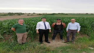 Kırklareli’nde yerli mısır çeşitlerinin verimliliği test edilecek