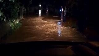 Sakarya’nın Kocaali ilçesinde sağanak nedeniyle dereler taştı