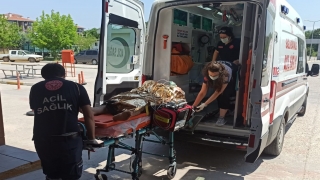 Kocaeli’de boğulma tehlikesi geçiren kişiyi cankurtaranlar kurtardı