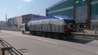 Sakarya’da tırın çarptığı yaya hayatını kaybetti
