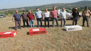 Balıkesir’in Manyas ilçesinde doğaya keklik salındı