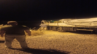 Yalova’da tırda 44 ton kaçak midye ele geçirildi