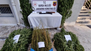 Harmancık’ta uyuşturucu operasyonu