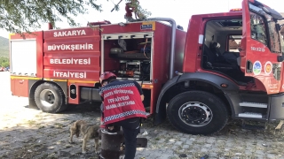 Sakarya’da kafası sobaya sıkışan köpeği itfaiye ekipleri kurtardı