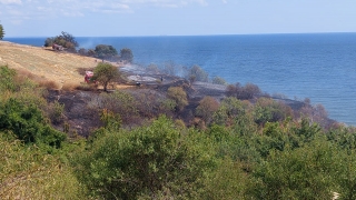 Tekirdağ’da otluk alanda çıkan yangın evlere sıçramadan söndürüldü