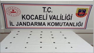 Kocaeli’de tarihi eser operasyonunda bir şüpheli yakalandı