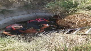 Kırklareli’nde kuyuya düşen dana iş makinesiyle kurtarıldı