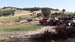 Balıkesir’de devrilen traktördeki yaşlı kadın hayatını kaybetti